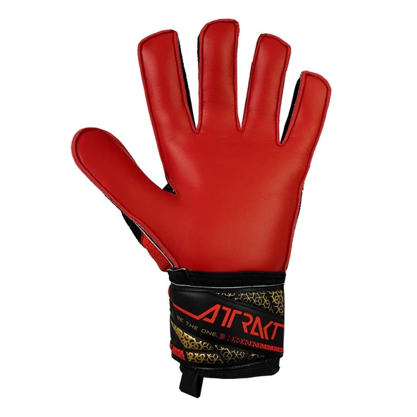 Reusch 5570515 Attrakt Solid Kaleci Eldiveni Siyah - Resim 2