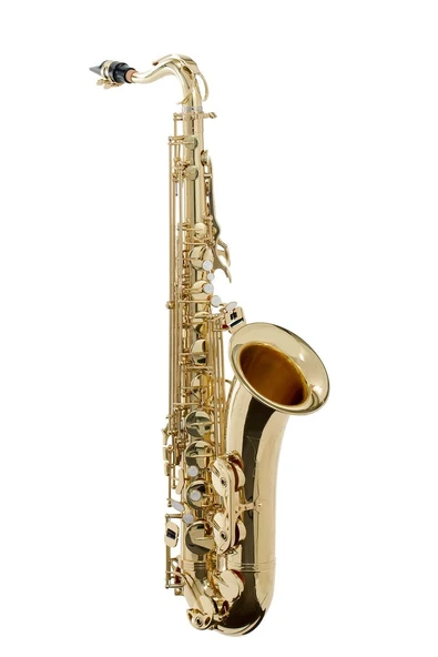 Fox YTS-6208L Tenor Saksafon | Altın Lak Kaplama Zengin ve Dolgun Ton ürün görseli 1