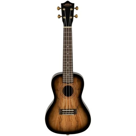 Lanikai SMBB-CX Spalted Maple Concert Elektro Ukulele (Limitli Seri - Koleksiyonluk) | Egzotik Desenli Akçaağaç (Spalted Maple) Gövde, Siyah Kenar Şeritleri, Dahili Preamp ve Ekolayzer | Ölçüler: Conc ürün görseli 1
