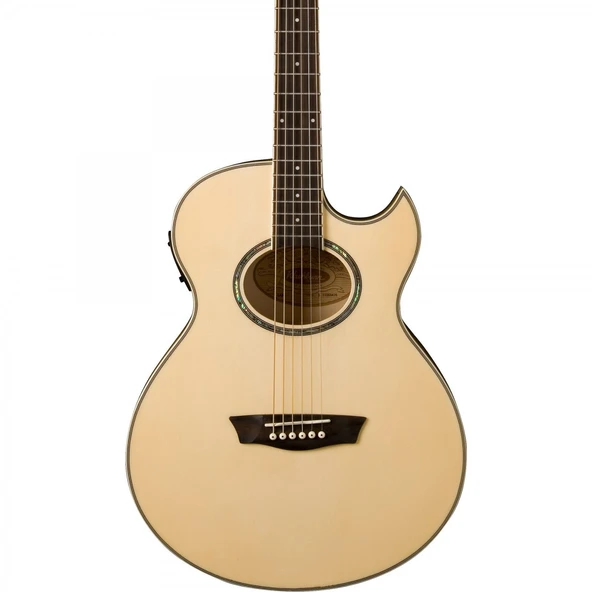 Washburn EA20 Festival Serisi Elektro Akustik Gitar | İnce Kasa (Thinline) Sahne Performansı Klasiği ürün görseli 1