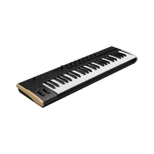 Korg Keystage-49 Midi Keyboard | 49 Tuş Üst Düzey Midi Sahne Klavyesi ürün görseli 1