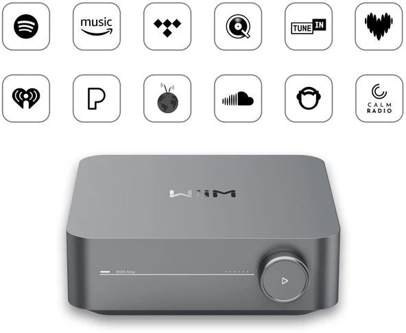 Wiim AMP Streaming Stereo Amplifier Space Grey - Resim 4