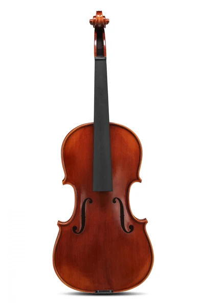 Gewa GS400085 Maestro El Yapımı Keman (4/4) | Konser Kalitesinde Ses Üst Düzey İşçilik ürün görseli 1