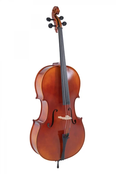 Gewa GS4020611121 Ideale VC2 Çello (4/4) | Flamed Maple Arka Kapak Profesyonel Görünüm ürün görseli 1
