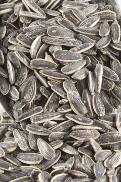 Nefisso Az Tuzlu Siyah Ayçekirdeği - 500 Gr ürün görseli 1