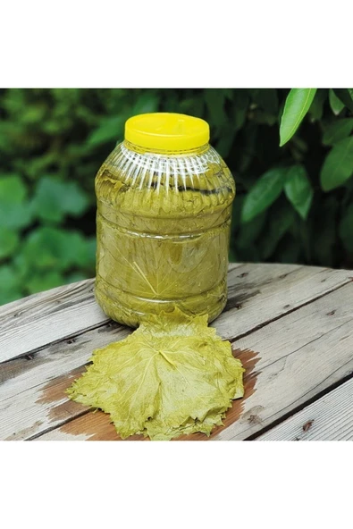 Salamura Bağ Yaprağı (MANİSA)yeni Mahsül Net 2 Kg ürün görseli 1