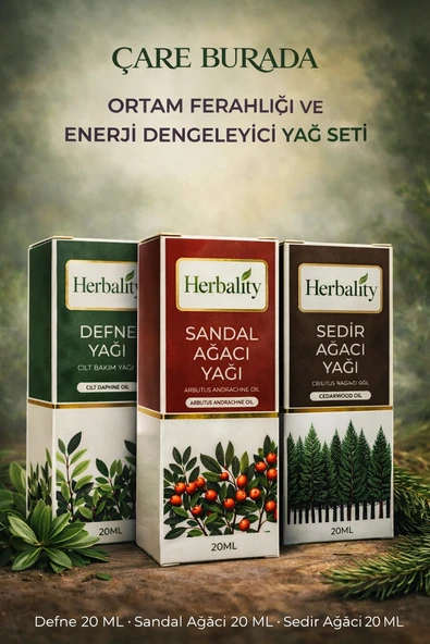 Ortam Ferahlığı ve Enerji Dengeleyici Yağ Seti (Defne Yağı & Sedir Ağacı Yağı & Sandal Ağacı Yağı) ürün görseli 1