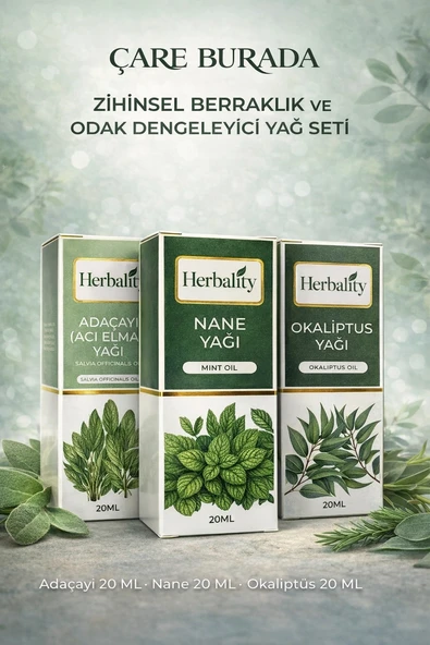 Zihinsel Berraklık Ve Odak Dengeleyici Yağ Seti (Adaçayı Yağı & Nane Yağı & Okaliptüs Yağı) ürün görseli 1