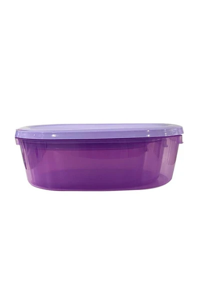 3'Lü Mor, Oval Erzak Saklama Kabı - Resim 3