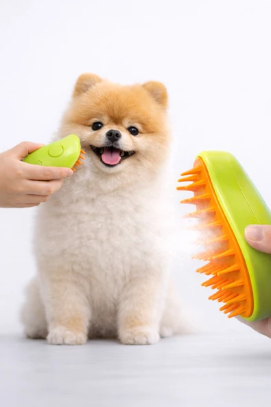 Yumuşak Silikon Uçlu Buharlı Kedi Köpek Tarağı Şarjlı Tüy Toplama Bakım Fırçası ürün görseli 1