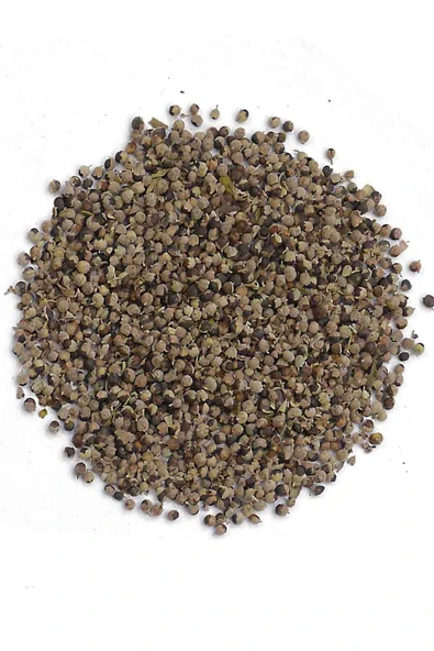 Baltea Baltea Hayıt Tohumu 150g - Resim 2