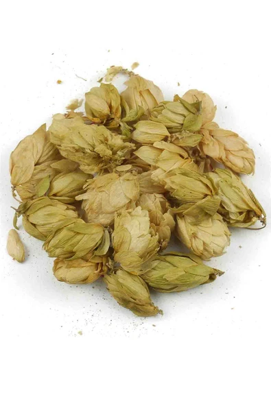 Baltea Baltea Şerbetçi Otu 50g - Resim 4