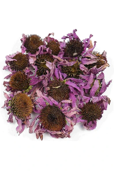 Baltea Baltea Ekinezya 50g - Resim 3