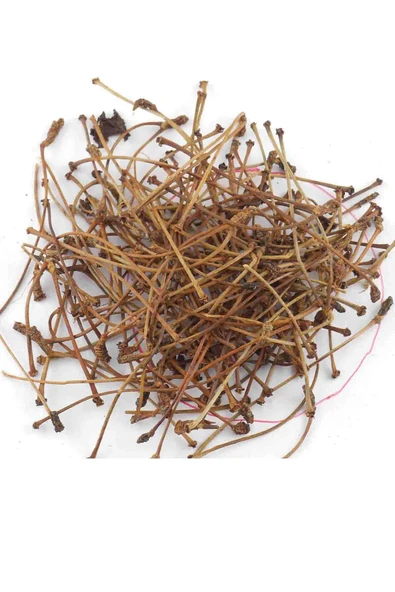 Baltea Baltea Kiraz Sapı 50g - Resim 3
