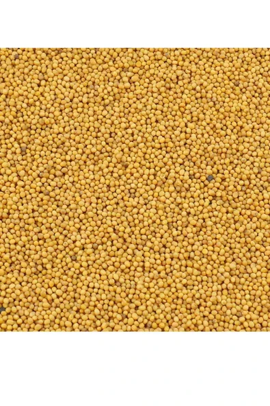 Baltea Baltea Hardal Sarı 300g - Resim 3