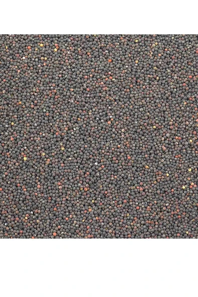 Baltea Baltea Hardal Siyah 300g - Resim 3