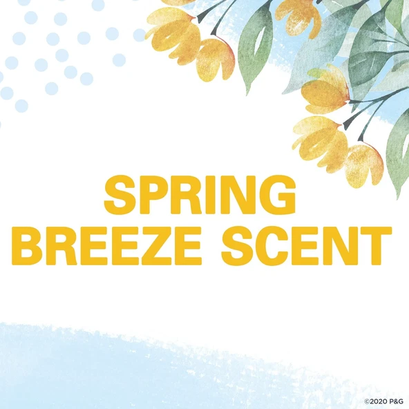 Secret PH Balanced Spring Breeze İnvisible Solid Deo 73GR - Resim 2