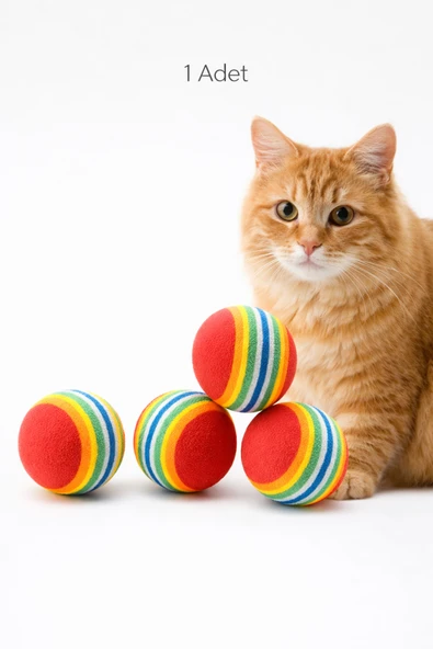 Gökkuşağı Sünger Kedi Köpek Çiğneme Oyun Topu 4 Cm Diş Çıkarma Interaktif Oyuncak 1 Adet ürün görseli 1