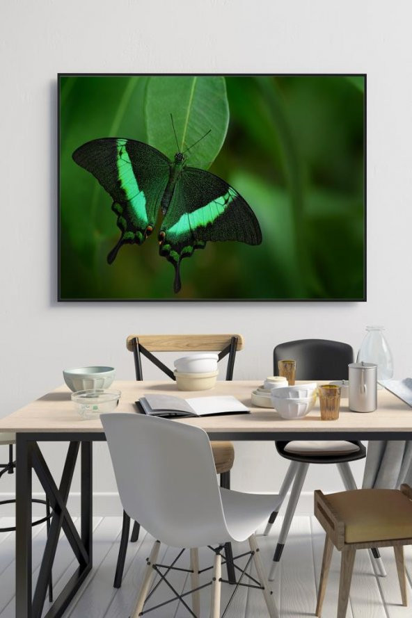 60 x 70 cm Model 59 Desenli Cam Tablo 4mm Temperli Camdır ürün görseli 1