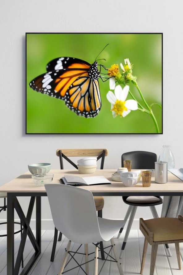 60 x 70 cm Model 67 Desenli Cam Tablo 4mm Temperli Camdır ürün görseli 1