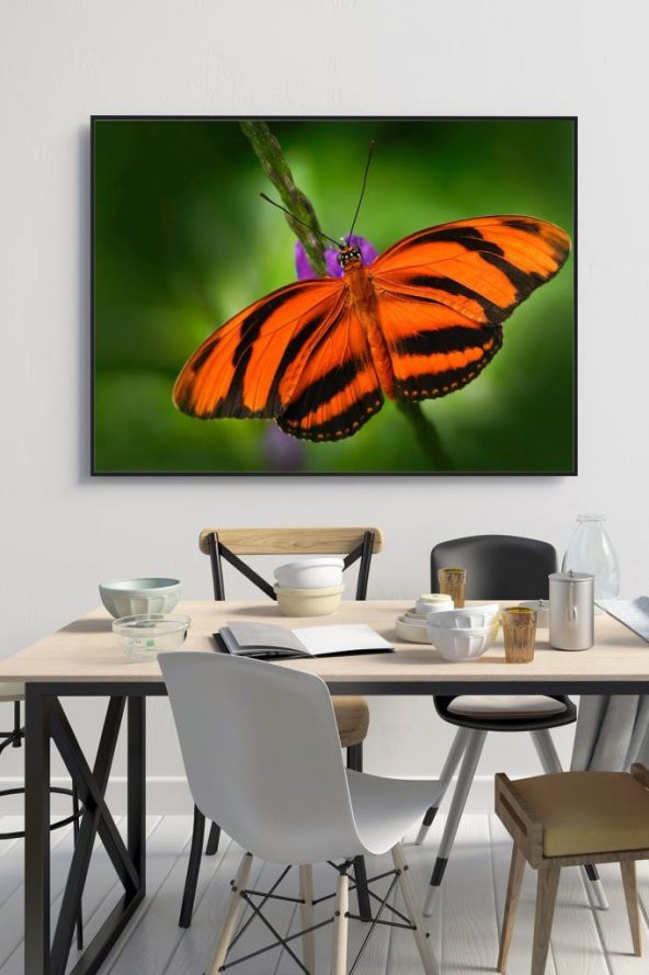 60 x 70 cm Model 68 Desenli Cam Tablo 4mm Temperli Camdır ürün görseli 1