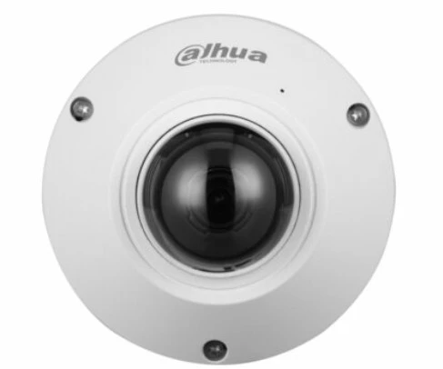 Dahua DH-IPC-EB5541P-AS 5MP WizMind Fisheye IP Kamera ürün görseli 1