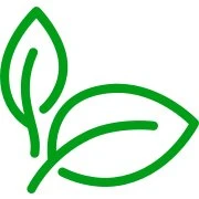 Reis Basmati Pirinç 1 Kg - Resim 2