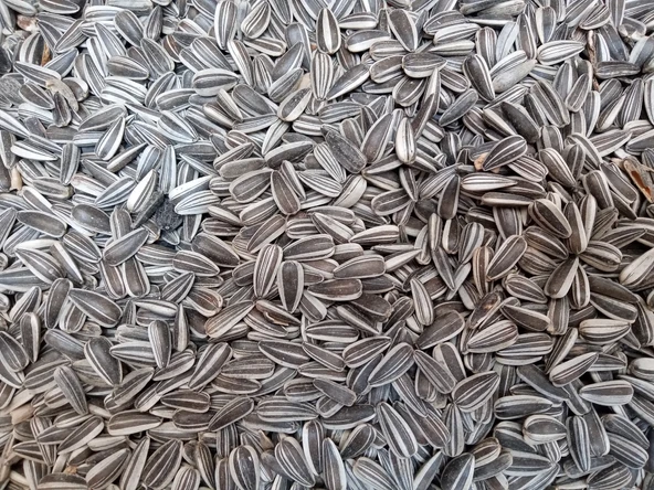 Hobi Çizgili Küçük Çekirdek 1 kg ürün görseli 1