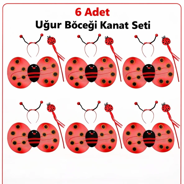 6'lı Uğur Böceği Ateş Böceği Kostüm Seti – Kanat Taç Asa ürün görseli 1