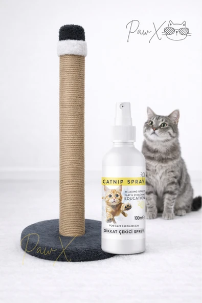 Kedi Tırmalama Tahtası Antrasit ve Catnip Sprey Seti Doğal Oyun ve Sakinleştirici Eğitim Seti ürün görseli 1