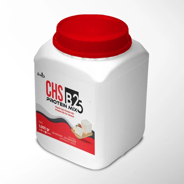 2m Proses Milk Proses Chs B25 Beyaz Peynir Protein Mix/ Peynir Proteini / 1 Kg ürün görseli 1
