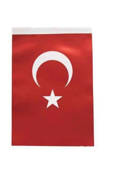 Alpaka Turk Bayragı 40x60 cm ürün görseli 1