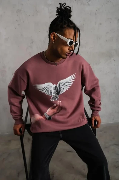 Baskılı Erkek Günlük Stil Gül Kurusu Güvercin Sweatshirt ürün görseli 1