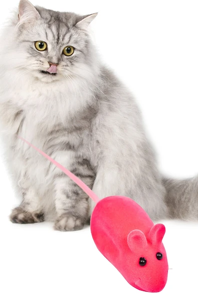 Kedi Eğitim Oyun Faresi Sesli 1 Adet Kedi Egzersiz Oyuncağı ürün görseli 1
