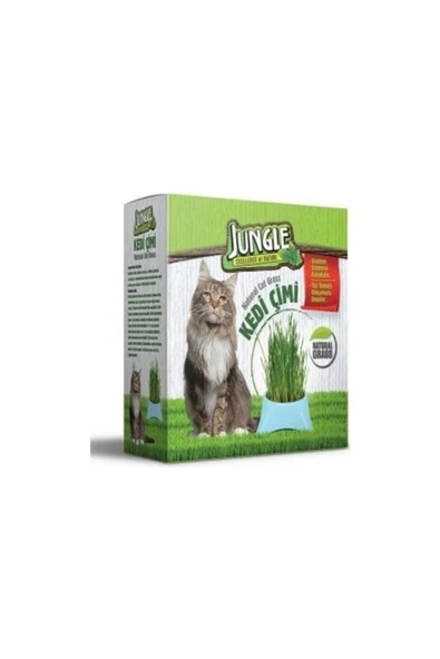 Kedi Çimi Kutulu (FİLELİ) ürün görseli 1