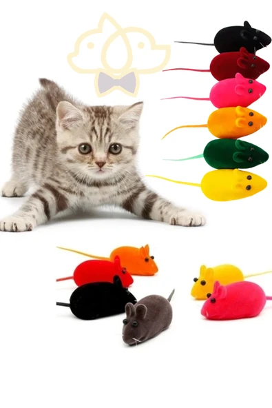 10 Adet Ses Çıkaran Renkli Öten Fare Kedi Oyuncak Seti Dayanıklı ve Eğlenceli Kedi Oyuncağı ürün görseli 1