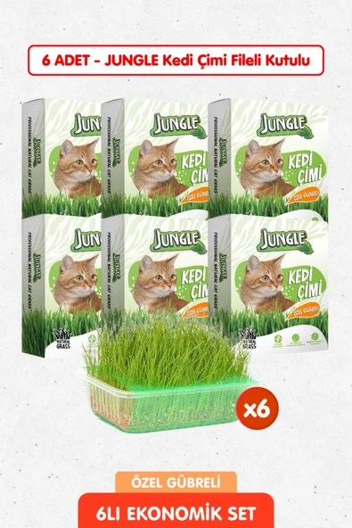 6 Adet Özel Gübreli Doğal Kedi Çimi Fileli ve Kutulu Tüy Yumağı Önleyici ürün görseli 1