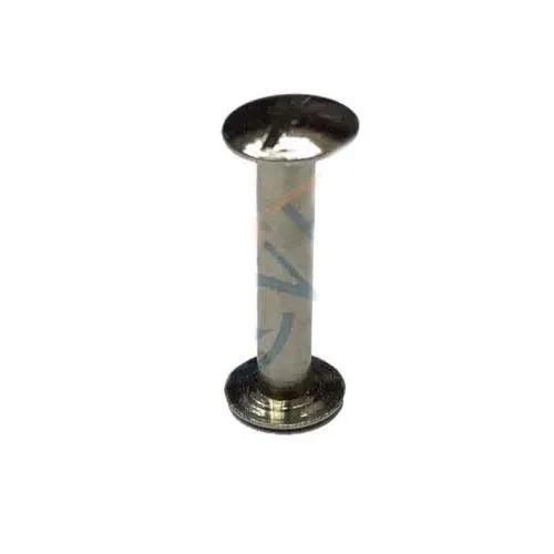 Cilt Menü, Katalog, Kartela Vidası, 20 Mm - Nikel, 100 Adet ürün görseli 1