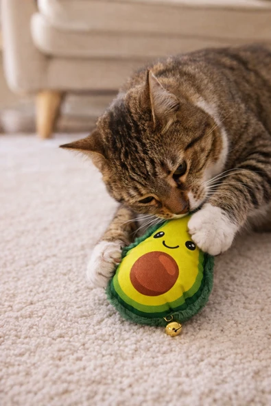 Zilli Avokado Kedi Oyuncağı – Dayanıklı Kumaşlı, Elyaf Dolgulu, Eğlenceli Peluş Kedi Oyuncağı ürün görseli 1