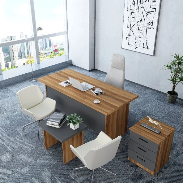 Zerka concept Asil 3'lü Ofis Takımı  Model 9 Ceviz Füme ürün görseli 1
