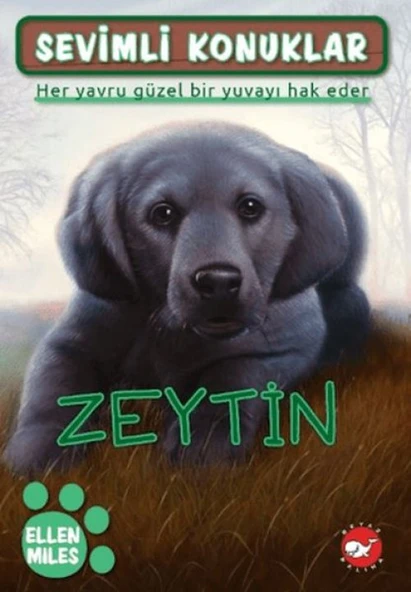 Sevimli Konuklar 3 - Zeytin ürün görseli 1