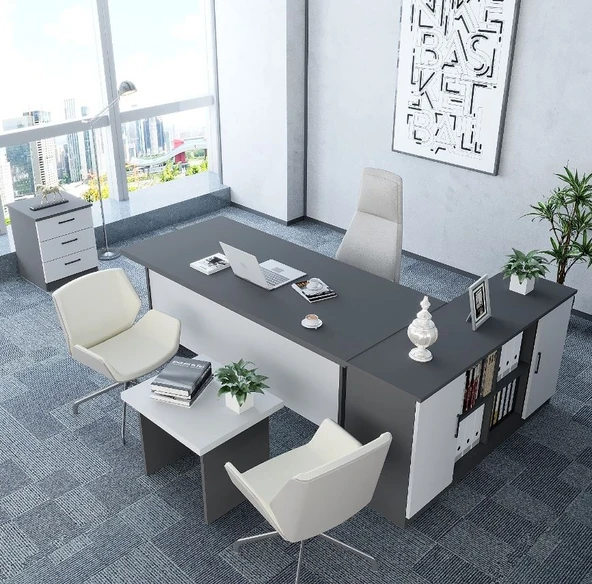 Zerka concept Pasha 4'lü Ofis Takımı  Model 6 Füme Beyaz ürün görseli 1