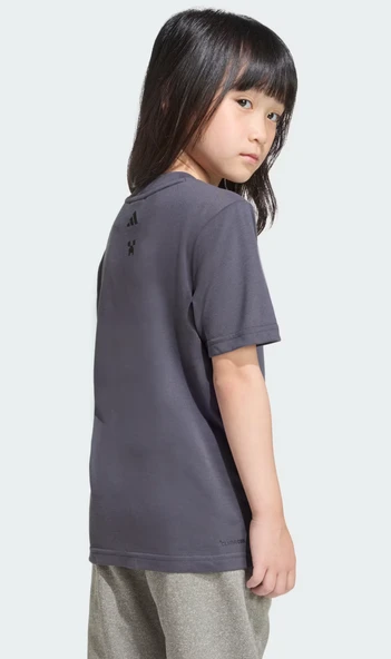 KD4435 - Resim 4