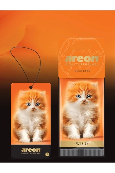 Areon WİLD BLUE EYES KALİTELİ ARAÇ KOKUSU ürün görseli 1