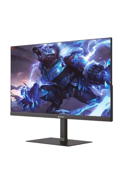 GAMEBOOSTER 23,8" GB-2411FF 1Ms MPRT 100Hz FULL HD IPS GAMING MONİTÖR ürün görseli 1
