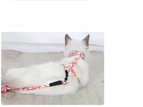 Kedi Gezdirme Göğüs Tasması - Resim 3