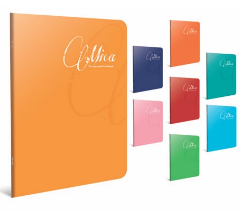 Gıpta A5 Defter (Dikişli) Mica Plastik Kapak Kareli 40 Yaprak 1710 (12 Li Paket) ürün görseli 1