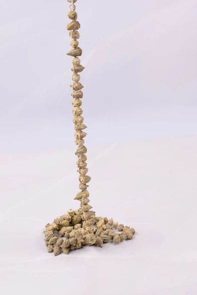 Kuru Bamya - 1 Bağ ürün görseli 1