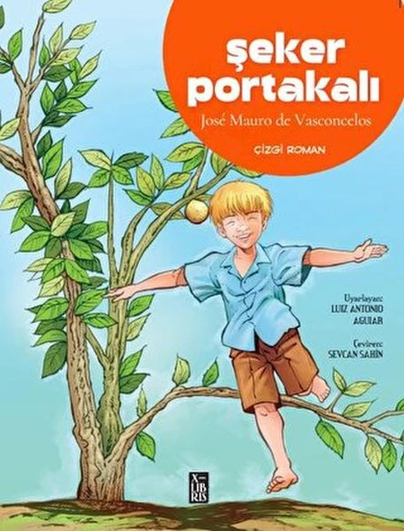 Şeker Portakalı Çizgi Roman JOSE MAURO DE VASCONCELOS ürün görseli 1