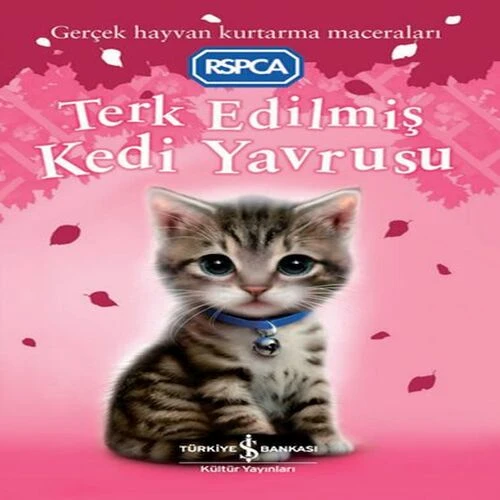 Terk Edilmiş Kedi Yrusu ürün görseli 1